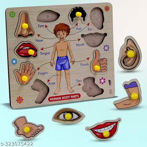 Body Part Puzzle Kids Wooden Toys for Kids 3+ Age