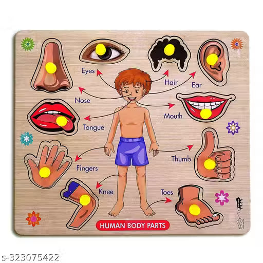 Body Part Puzzle Kids Wooden Toys for Kids 3+ Age